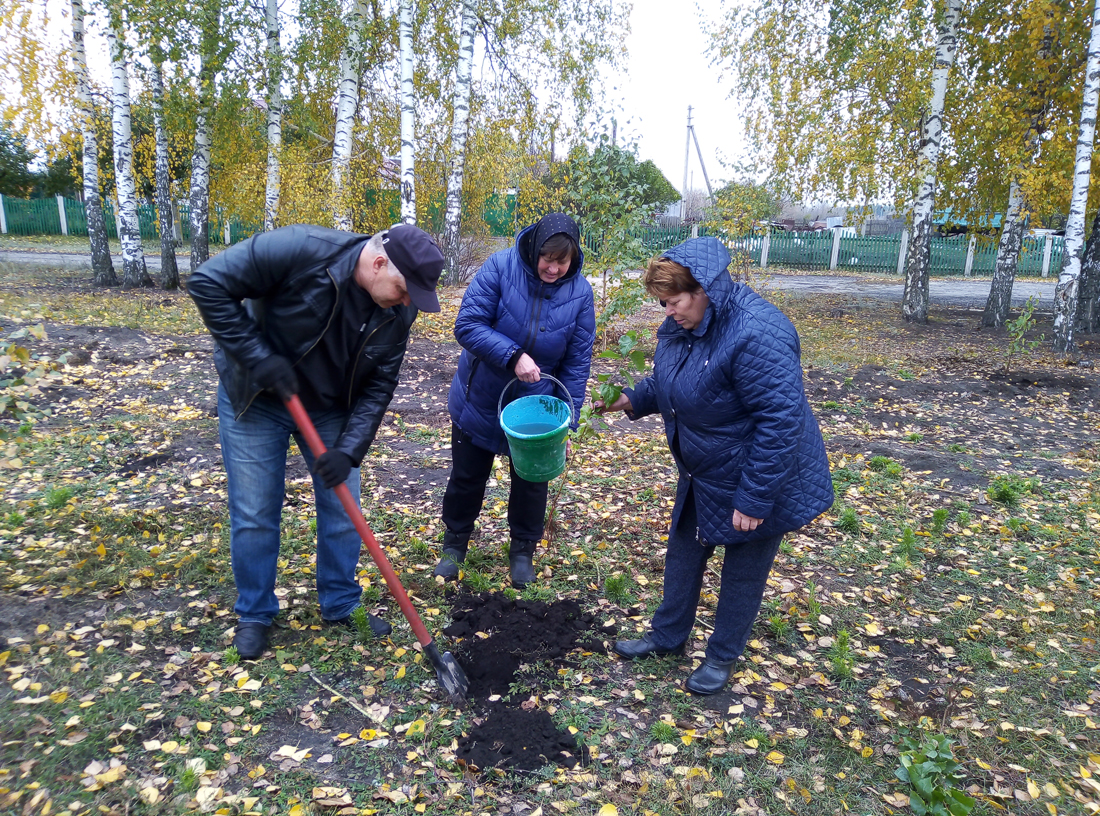 Субботник село Куликово посадка деревьев Субботник село Куликово посадка деревьев